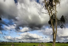 雨港繁华客场逼平，展现抗衡潜力