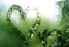 巴西队成功夺得世界杯季军，斩获奖牌