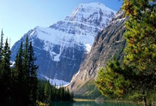 东道主澳大利亚女足志在必得荣耀归来