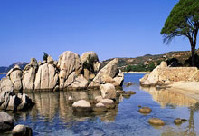 巴西队成功夺得世界杯季军，斩获奖牌